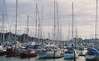 boats at gulf harbour