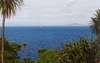 rangitoto view