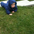 IMG_0826.jpg