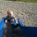 IMG_0905.jpg