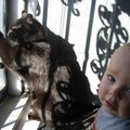 IMG_7510.jpg