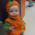 IMG_7527.jpg