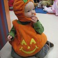 IMG_7530.jpg