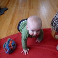 P1000051.jpg