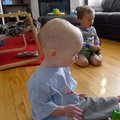 P1000239.jpg