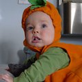 P1000907.jpg