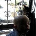 vid_nicholas_michael_2.avi