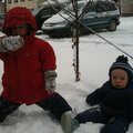 IMG_0985.jpg