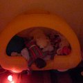 P1010006.jpg
