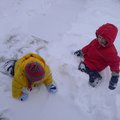 P1020800.jpg