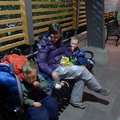P1030057.jpg