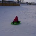 vid_ollie_sledboarding_2.avi