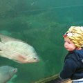 IMG_1015.jpg