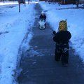 IMG_1034.jpg