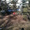 IMG_1080.jpg