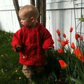 IMG_1165.jpg
