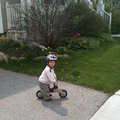 IMG_1179.jpg