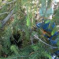 IMG_1204.jpg