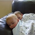 P1040490.jpg