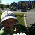 IMG_1261.jpg