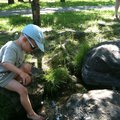 IMG_1264.jpg
