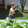 IMG_7573.jpg