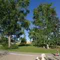 P1060349.jpg