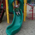 vid_nicholas_slide.avi