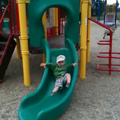vid_nicholas_slide.png