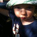 IMG_1381.jpg
