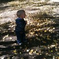 IMG_1467.jpg