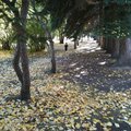 IMG_1470.jpg
