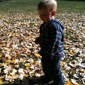 IMG_1479.jpg