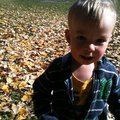 IMG_1480.jpg