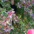IMG_1502.jpg