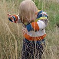 P1070037.jpg