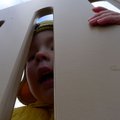 P1070510.jpg