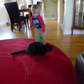 vid_nicholas_michael.avi