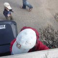 vid_oliver_climbs_fence.avi