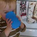 vid_steamed_milk.avi