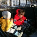 IMG_1533.jpg