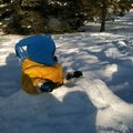 IMG_1578.jpg