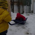 P1080032.jpg