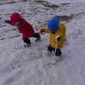 P1080095.jpg