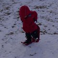 P1080106.jpg