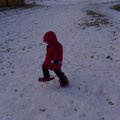 P1080108.jpg