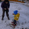 P1080110.jpg