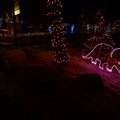 P1080191.jpg
