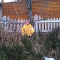 IMG_1632.jpg