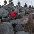 P1080641.jpg
